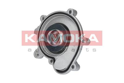 Water Pump, engine cooling KAMOKA T0194