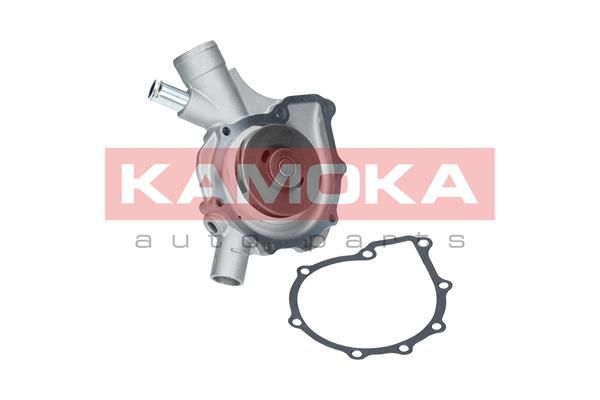 KAMOKA T0197 Water Pump, engine cooling