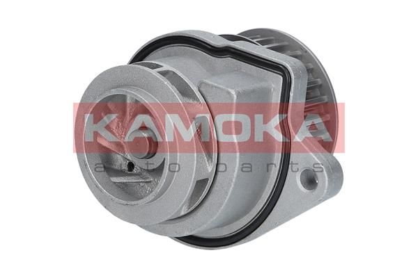 KAMOKA T0248 Water Pump, engine cooling