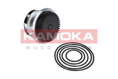 Water Pump, engine cooling KAMOKA T0273