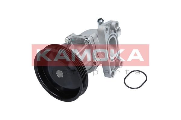KAMOKA T0276 Water Pump, engine cooling