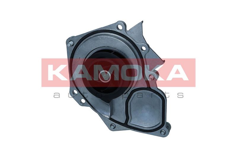 KAMOKA T0289 Water Pump, engine cooling