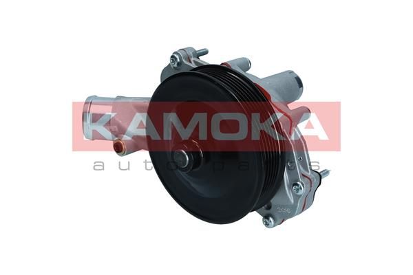 KAMOKA T0291 Water Pump, engine cooling