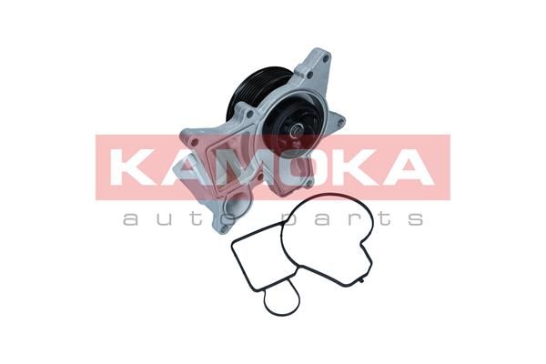 KAMOKA T0298 Water Pump, engine cooling