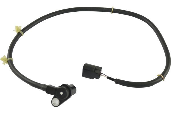 Kavo Parts BAS-5543 Sensor, wheel speed