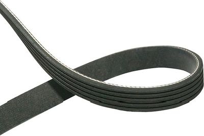 V-Ribbed Belt Kavo Parts DMV-3015