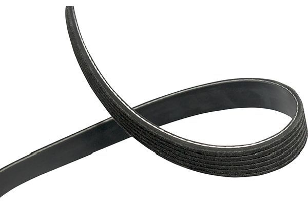 Kavo Parts DMV-9006 V-Ribbed Belt