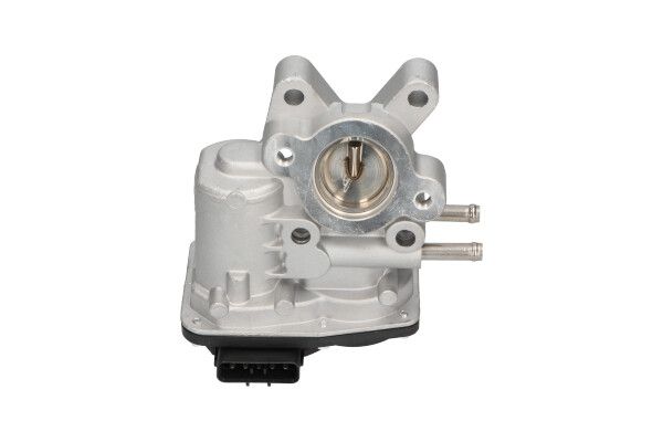Kavo Parts EEG-6503 EGR Valve