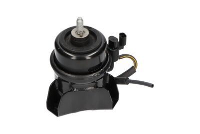 Mounting, engine Kavo Parts EEM-3109