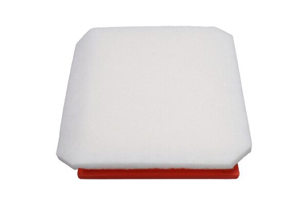 Kavo Parts FAF-10368 Air Filter