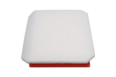 Air Filter Kavo Parts FAF-10368