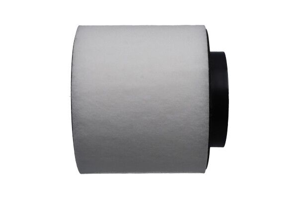 Kavo Parts FAF-10448 Air Filter