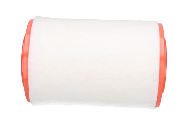 Kavo Parts FAF-10462 Air Filter