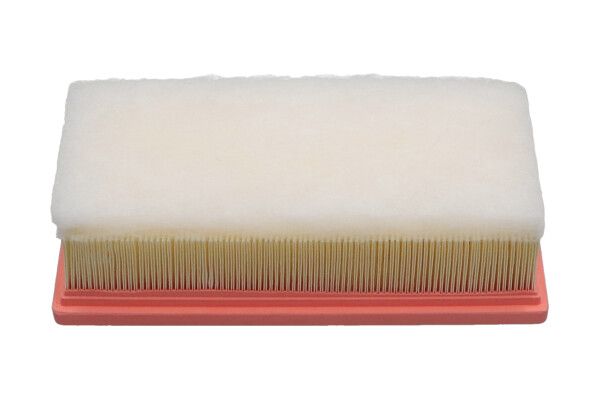 Kavo Parts FAF-9001 Air Filter