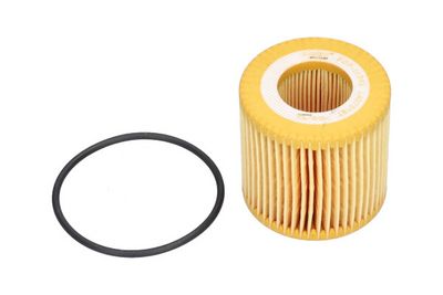 Oil Filter Kavo Parts FOF-10089