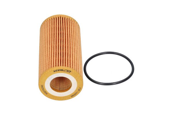Kavo Parts FOF-10098 Oil Filter