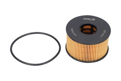 Oil Filter Kavo Parts FOF-10171