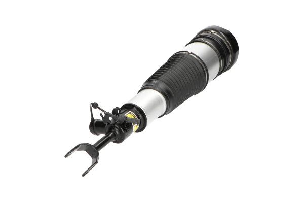 Kavo Parts SAS-10011 Air Suspension Strut