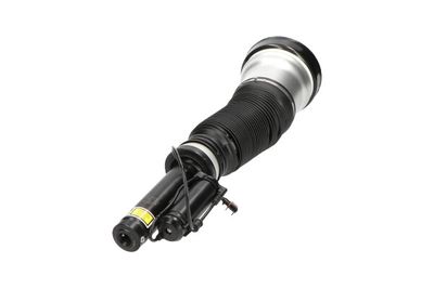 Air Suspension Strut Kavo Parts SAS-10013