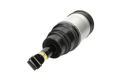 Air Suspension Strut Kavo Parts SAS-10020
