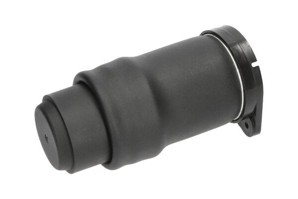Kavo Parts SAS-10021 Air Spring, suspension