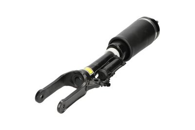 Air Suspension Strut Kavo Parts SAS-10022