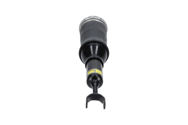 Kavo Parts SAS-10046 Air Suspension Strut