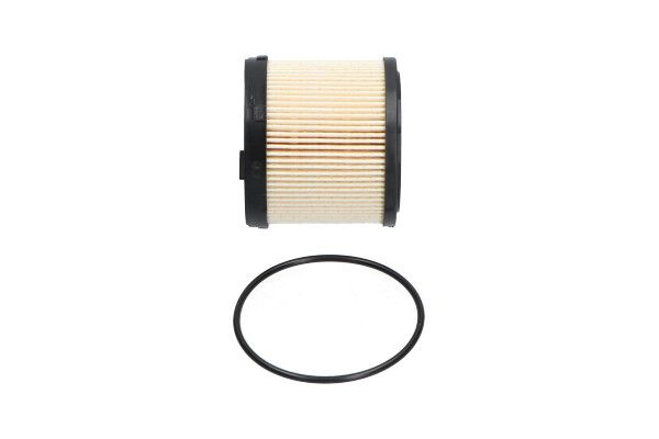 Kavo Parts SF-9954 Fuel Filter