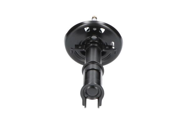 Kavo Parts SSA-10221 Shock Absorber