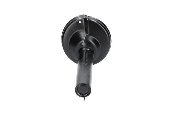 Kavo Parts SSA-10246 Shock Absorber