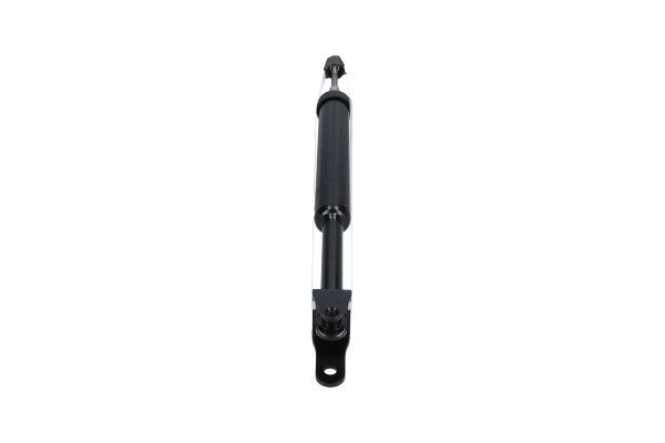 Kavo Parts SSA-11121 Shock Absorber