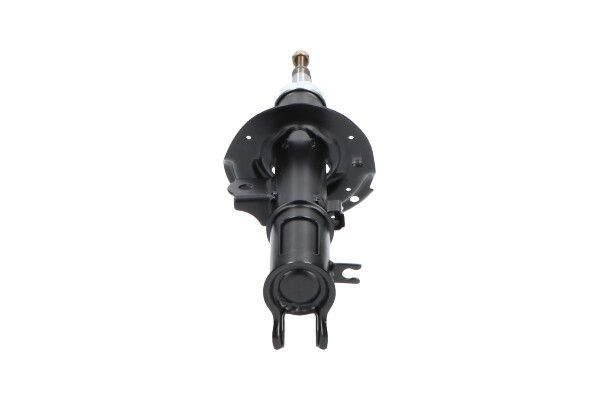 Kavo Parts SSA-4009 Shock Absorber