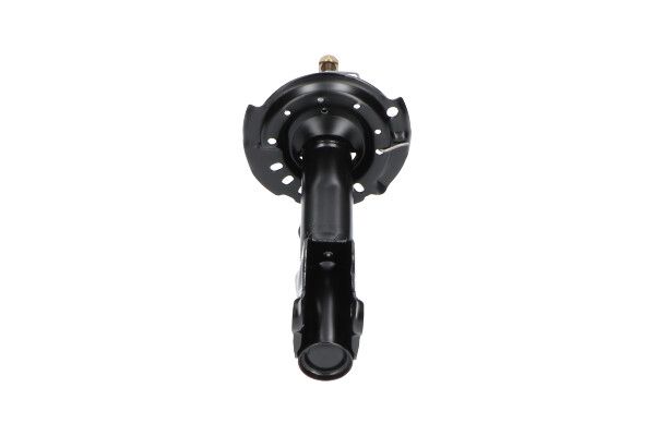 Kavo Parts SSA-10173 Shock Absorber