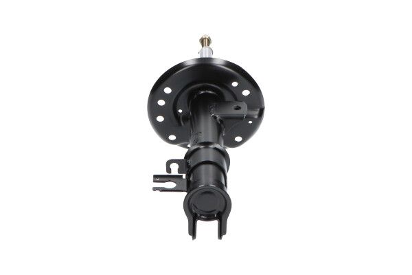 Kavo Parts SSA-10181 Shock Absorber
