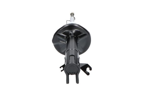 Kavo Parts SSA-5505 Shock Absorber