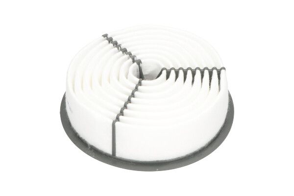 Kavo Parts TA-1170 Air Filter