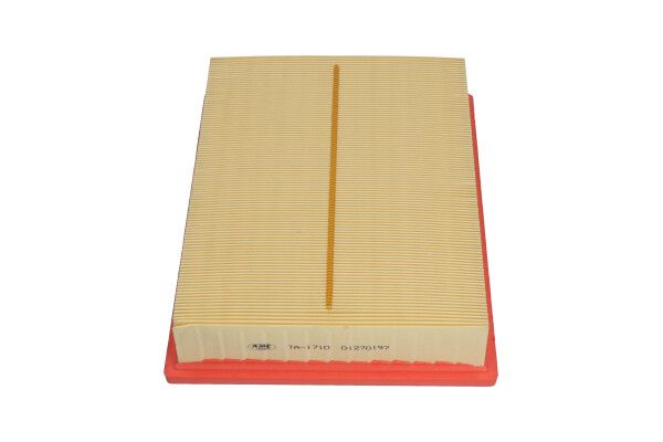 Kavo Parts TA-1710 Air Filter