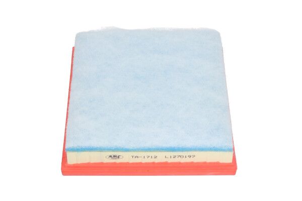 Kavo Parts TA-1712 Air Filter