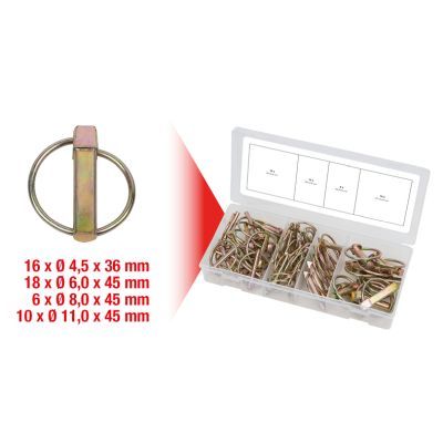 Assortment Box KS TOOLS 970.0550
