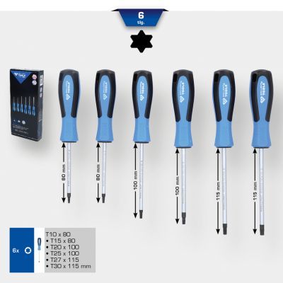 Screwdriver Set KS TOOLS BT031010