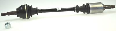 Drive Shaft LÖBRO 301918