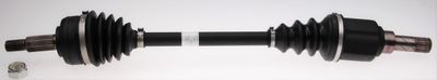 Drive Shaft LÖBRO 306733