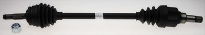 Drive Shaft LÖBRO 306789