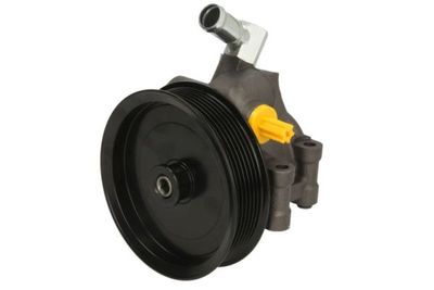 Hydraulic Pump, steering LAUBER 55.1243