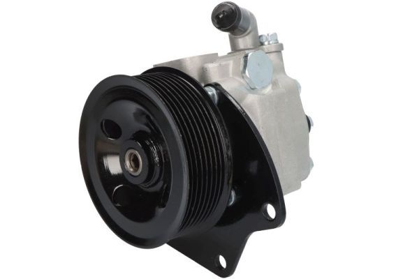 LAUBER 55.4281 Hydraulic Pump, steering