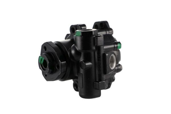 LAUBER 55.9123 Hydraulic Pump, steering