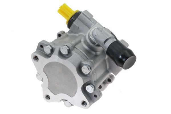 LAUBER 55.9971 Hydraulic Pump, steering