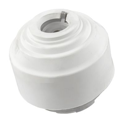Mounting, engine LEMFÖRDER 25390 01
