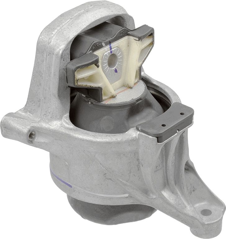 LEMFÖRDER 39881 01 Mounting, engine