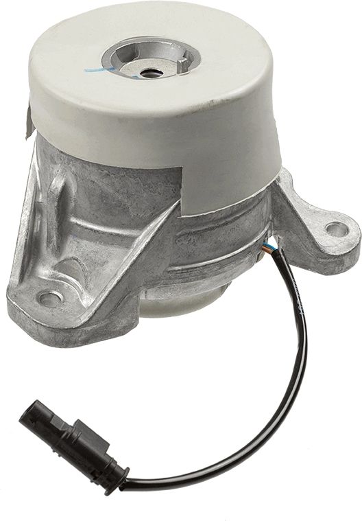 LEMFÖRDER 42529 01 Mounting, engine